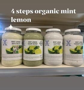 Scent Xperience Organic BATH SALTS,THEAROPY CREAM,CLAYMASKS, Sugar Scrub 1 Gal - Mint Lemon