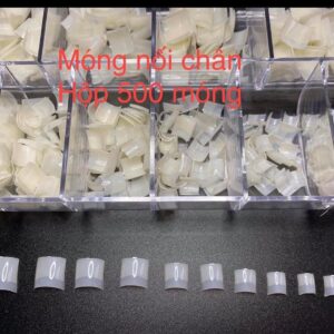 JL TIP TOES 550PCS BOX