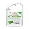 La Palm Callus Remover Spearmint GALON