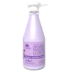 Healing Therapy Massage Lotion Sweet Lavender 24OZ