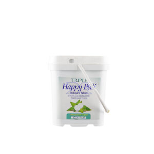 Triple Happy Pedi Pedicure Tablet - Spearmint Scent 2000Pc.e